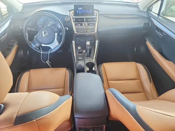 JTJBARBZ8G2078253 2016 LEXUS NX - Image 8