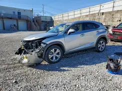 JTJBARBZ8H2119451 2017 LEXUS NX