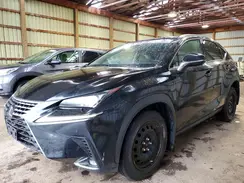 JTJBARBZ8K2179236 2019 LEXUS NX