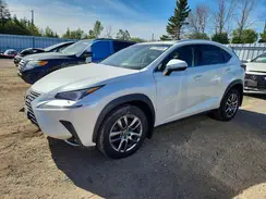 JTJBARBZ8K2181777 2019 LEXUS NX