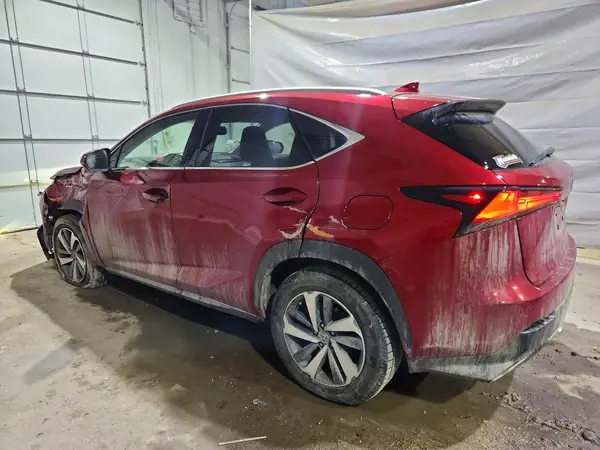 JTJBARBZ8K2181875 2019 LEXUS NX - Image 2