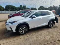 JTJBARBZ8K2187207 2019 LEXUS NX
