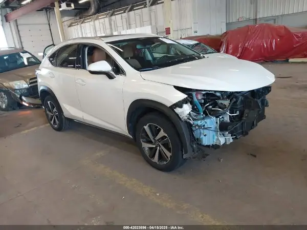 JTJBARBZ8K2187692 2019 LEXUS NX - Image 1