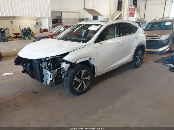 JTJBARBZ8K2187692 2019 LEXUS NX - Image 2