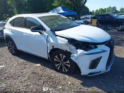 JTJBARBZ8K2192116 2019 LEXUS NX