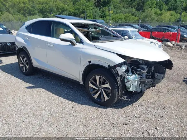 JTJBARBZ8K2197588 2019 LEXUS NX - Image 1