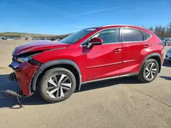 JTJBARBZ8K2197879 2019 LEXUS NX