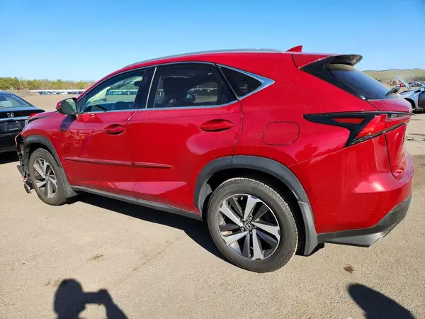 JTJBARBZ8K2197879 2019 LEXUS NX - Image 2