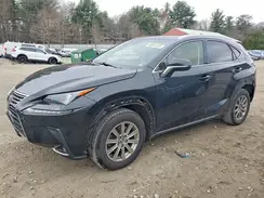 JTJBARBZ8K2213076 2019 LEXUS NX