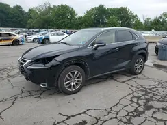 JTJBARBZ9G2072980 2016 LEXUS NX