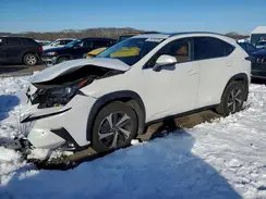JTJBARBZ9J2159706 2018 LEXUS NX