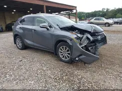 JTJBARBZ9K2184509 2019 LEXUS NX