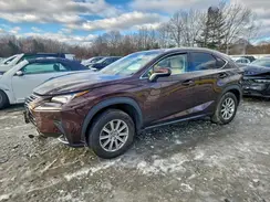 JTJBARBZ9K2187698 2019 LEXUS NX