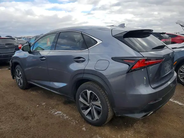 JTJBARBZ9K2193288 2019 LEXUS NX - Image 2