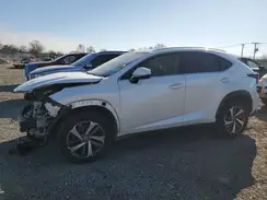 JTJBARBZ9K2199351 2019 LEXUS NX