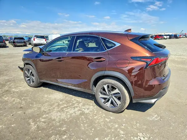 JTJBARBZ9K2202698 2019 LEXUS NX - Image 2