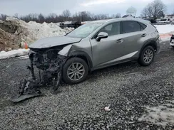 JTJBARBZ9K2204564 2019 LEXUS NX