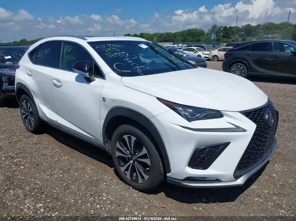 JTJBARBZ9K2205665 2019 LEXUS NX - Image 1