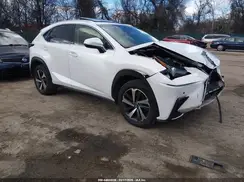 JTJBARBZ9K2207464 2019 LEXUS NX