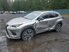 JTJBARBZ9K2208162 2019 LEXUS NX