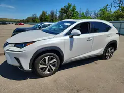 JTJBARBZ9K2210378 2019 LEXUS NX