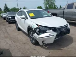 JTJBARBZ9K2210946 2019 LEXUS NX