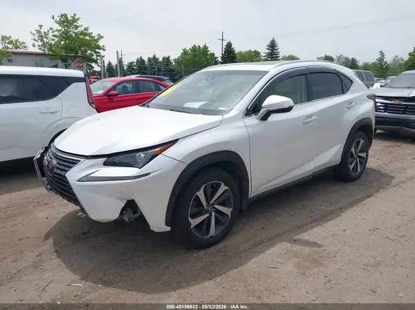 JTJBARBZ9K2210946 2019 LEXUS NX - Image 2