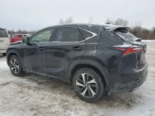 JTJBARBZ9K2214091 2019 LEXUS NX - Image 2