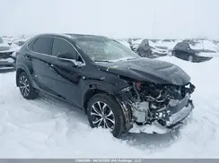 JTJBARBZXG2069537 2016 LEXUS NX