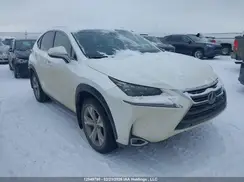 JTJBARBZXG2073782 2016 LEXUS NX