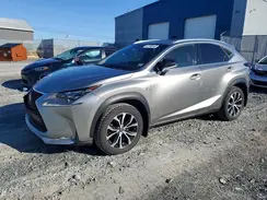 JTJBARBZXH2109231 2017 LEXUS NX