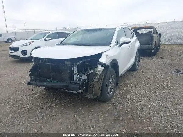 JTJBARBZXH2147798 2017 LEXUS NX - Image 2