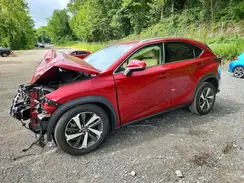 JTJBARBZXJ2151114 2018 LEXUS NX