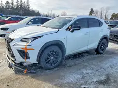 JTJBARBZXJ2157995 2018 LEXUS NX