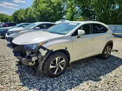 JTJBARBZXJ2161335 2018 LEXUS NX