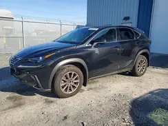 JTJBARBZXK2183224 2019 LEXUS NX