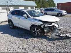 JTJBARBZXK2184485 2019 LEXUS NX