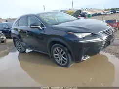 JTJBARBZXK2184907 2019 LEXUS NX