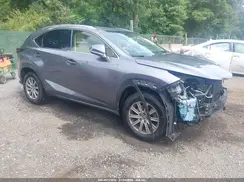 JTJBARBZXK2191405 2019 LEXUS NX