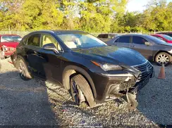 JTJBARBZXK2192618 2019 LEXUS NX