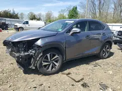 JTJBARBZXK2200779 2019 LEXUS NX