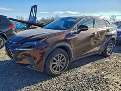 JTJBARBZXK2211717 2019 LEXUS NX