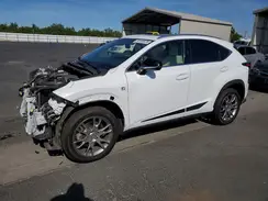 JTJBARBZXK2212432 2019 LEXUS NX