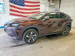 JTJBARBZXK2214486 2019 LEXUS NX