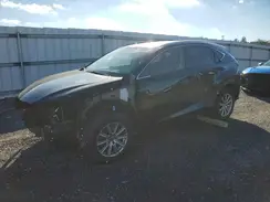 JTJBARBZXK2214858 2019 LEXUS NX