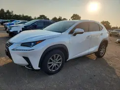 JTJBARBZXK2216447 2019 LEXUS NX