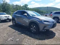 JTJBARBZXK2217484 2019 LEXUS NX