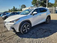 JTJBJRBZ0K2106393 2019 LEXUS NX