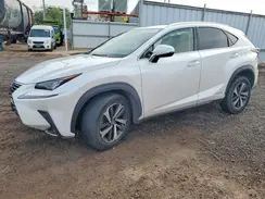 JTJBJRBZ1K2096828 2019 LEXUS NX