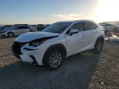 JTJBJRBZ1K2102482 2019 LEXUS NX